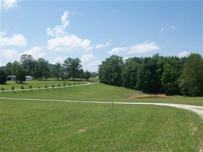 750 Bert Ridge Road Science Hill, KY 42553 - Photo 22 of 22 Additional Photo