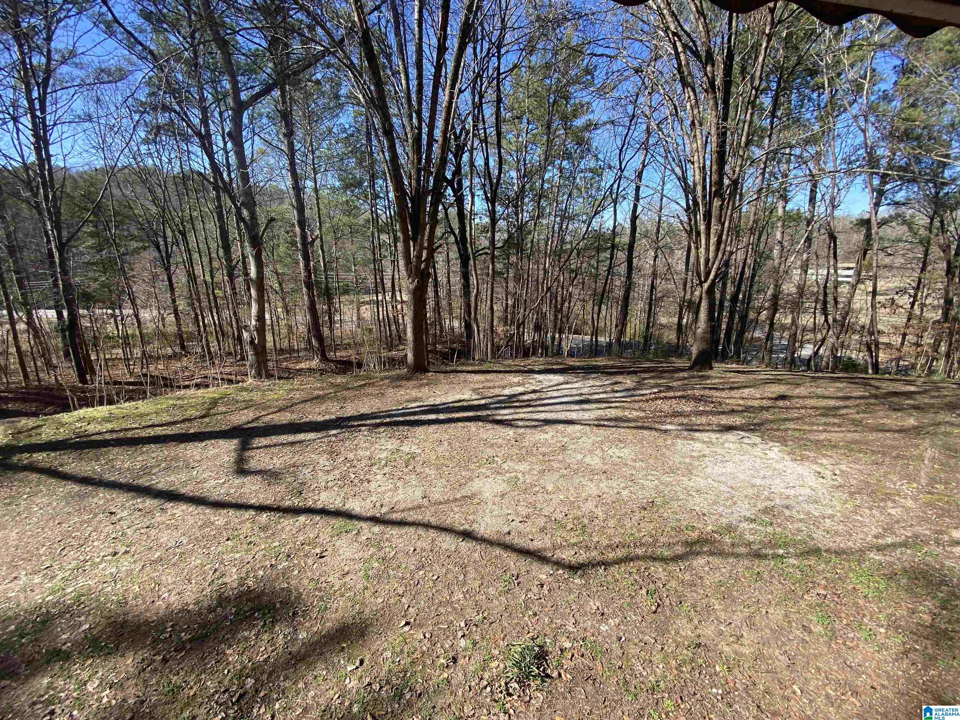 524 Highway 204 Ohatchee, AL 36271 - Photo 6 of 42