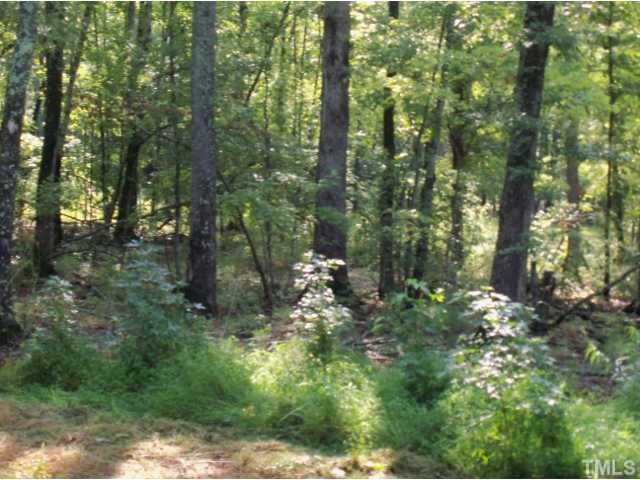 Henrys Ridge Road Pittsboro, NC 27312 - Photo 1 of 3 Photo 1