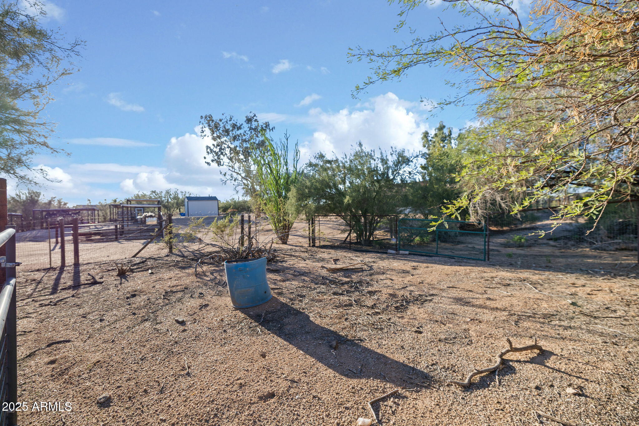 6319 East Lowden Road Cave Creek, AZ 85331 - Photo 51 of 52 a view of a backyard with large trees
