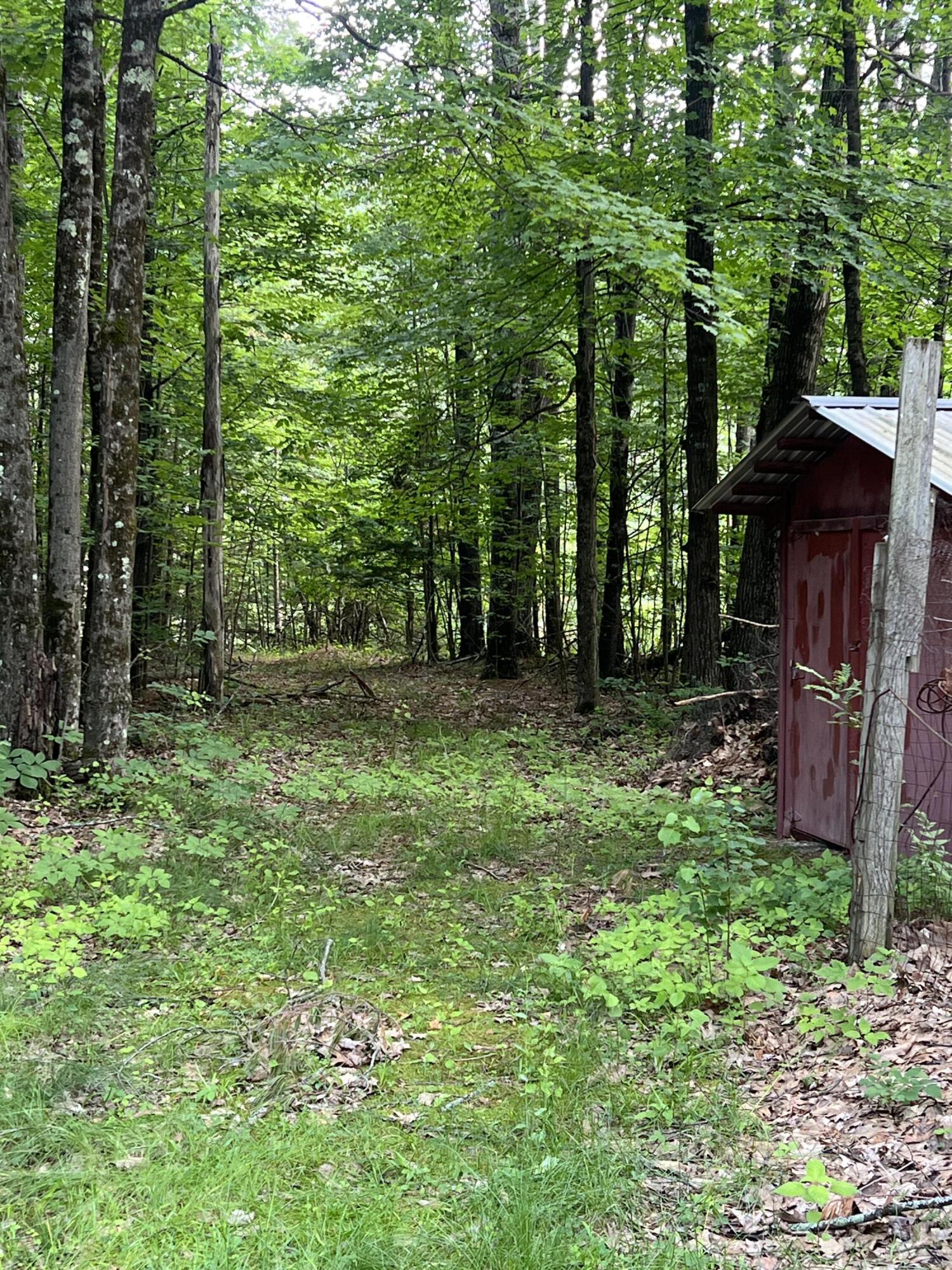 776 Brainards Forge Road Westport, NY 12993 - Photo 7 of 8