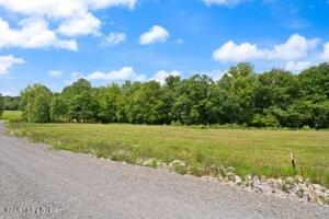 0 Brandenburg Road Hudson, KY 40145 - Photo 6 of 61 photo 2
