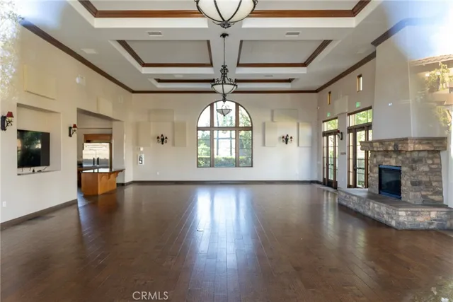 a view of a backyard with plants and a large tree