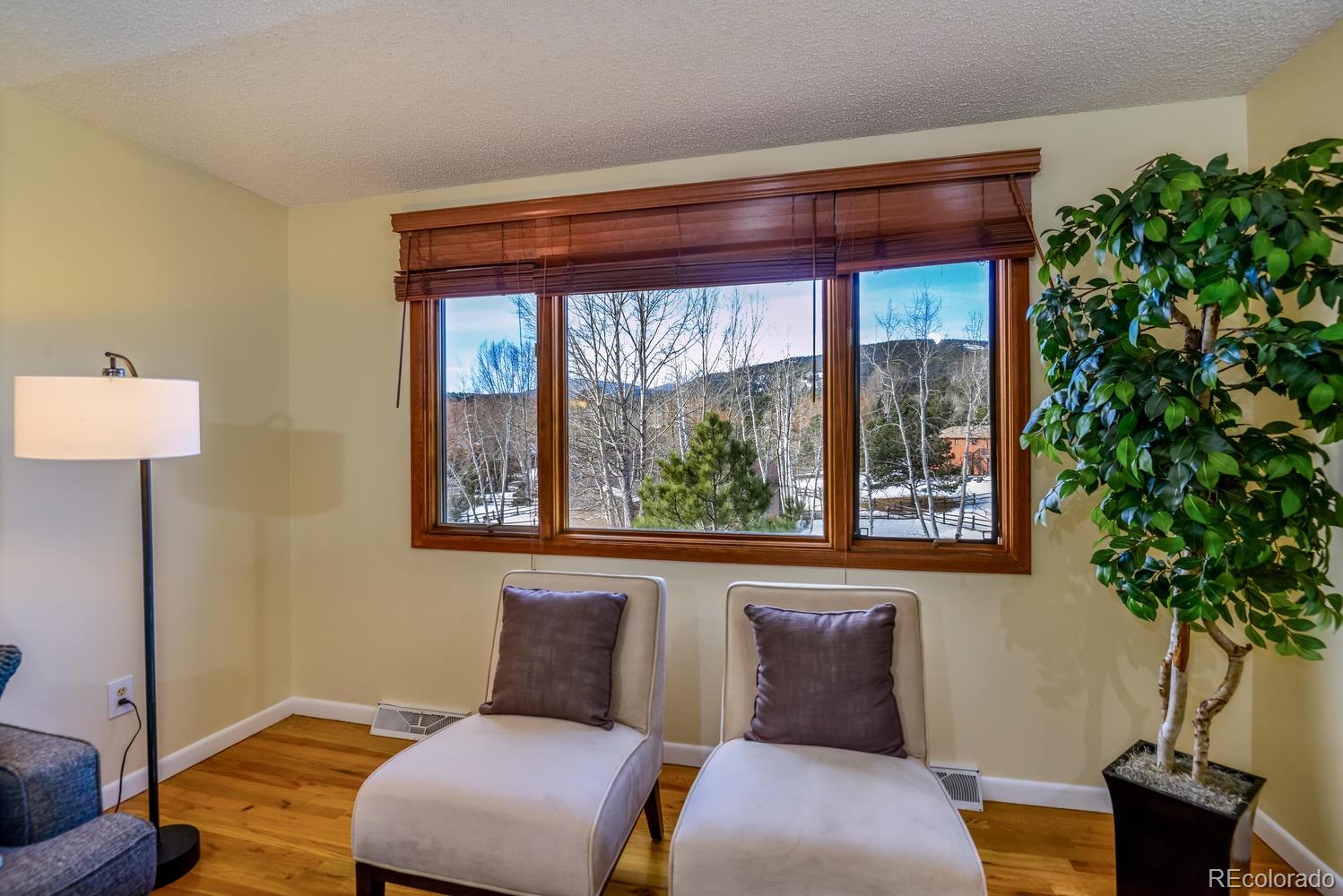 29423 Valley View Road Evergreen, CO 80439 - Photo 31 of 35 Gallery Image 31