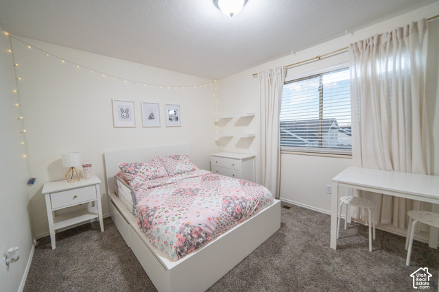 7676 Jefferson Road Magna, UT 84044 - Photo 21 of 24 Plush grey carpeting