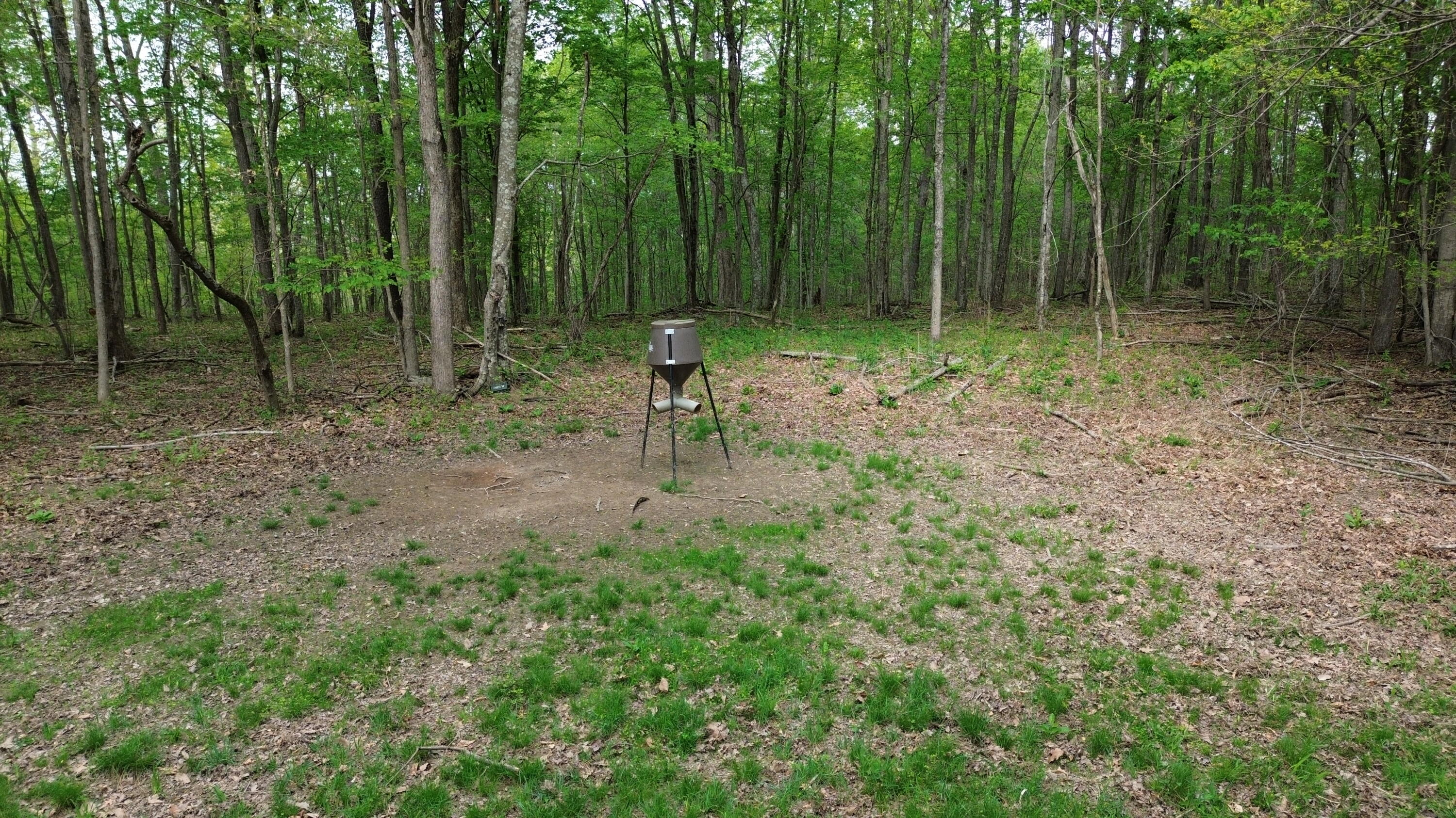 1271 A Tunnel Ridge Road Grayson, KY 41143 - Photo 81 of 134 Feeder Area