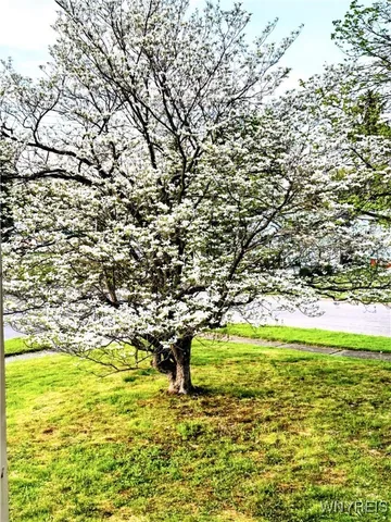 $154,900 | 390 Delaware Avenue, Jamestown, NY 14701