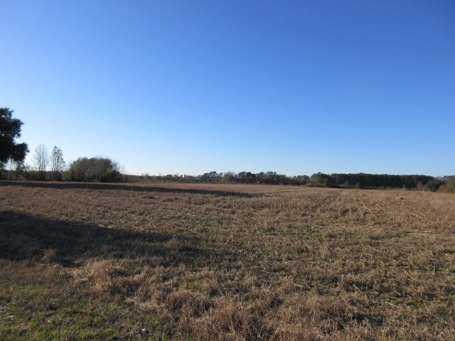 1355 Brewington West Road Sumter, SC 29153 - Photo 3 of 6