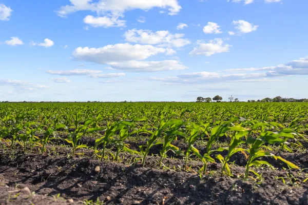 $2,517,750 | 5629 Highway 59, Edna, TX 77957