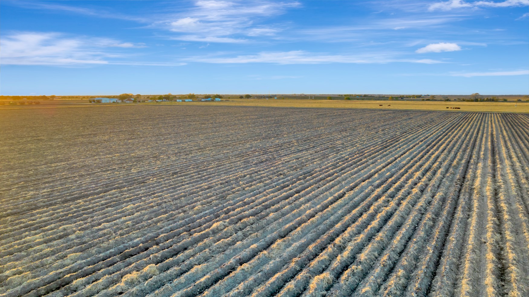 5629 Highway 59 Edna, TX 77957 - Photo 2 of 47
