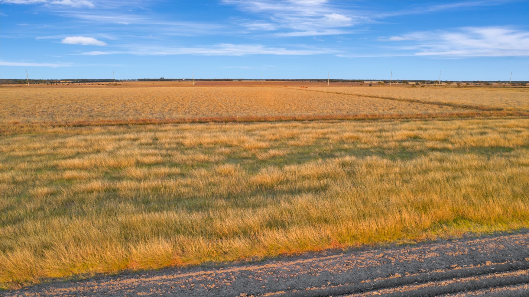 5629 Highway 59 Edna, TX 77957 - Photo 22 of 49