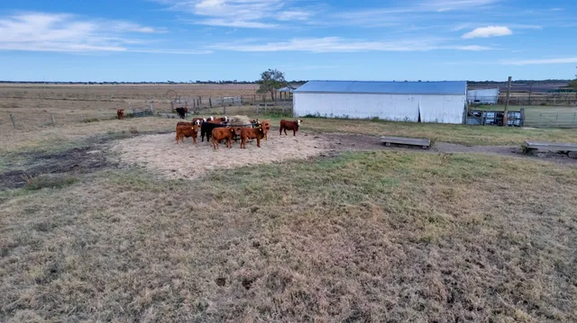a view of a swimming pool with an ocean view