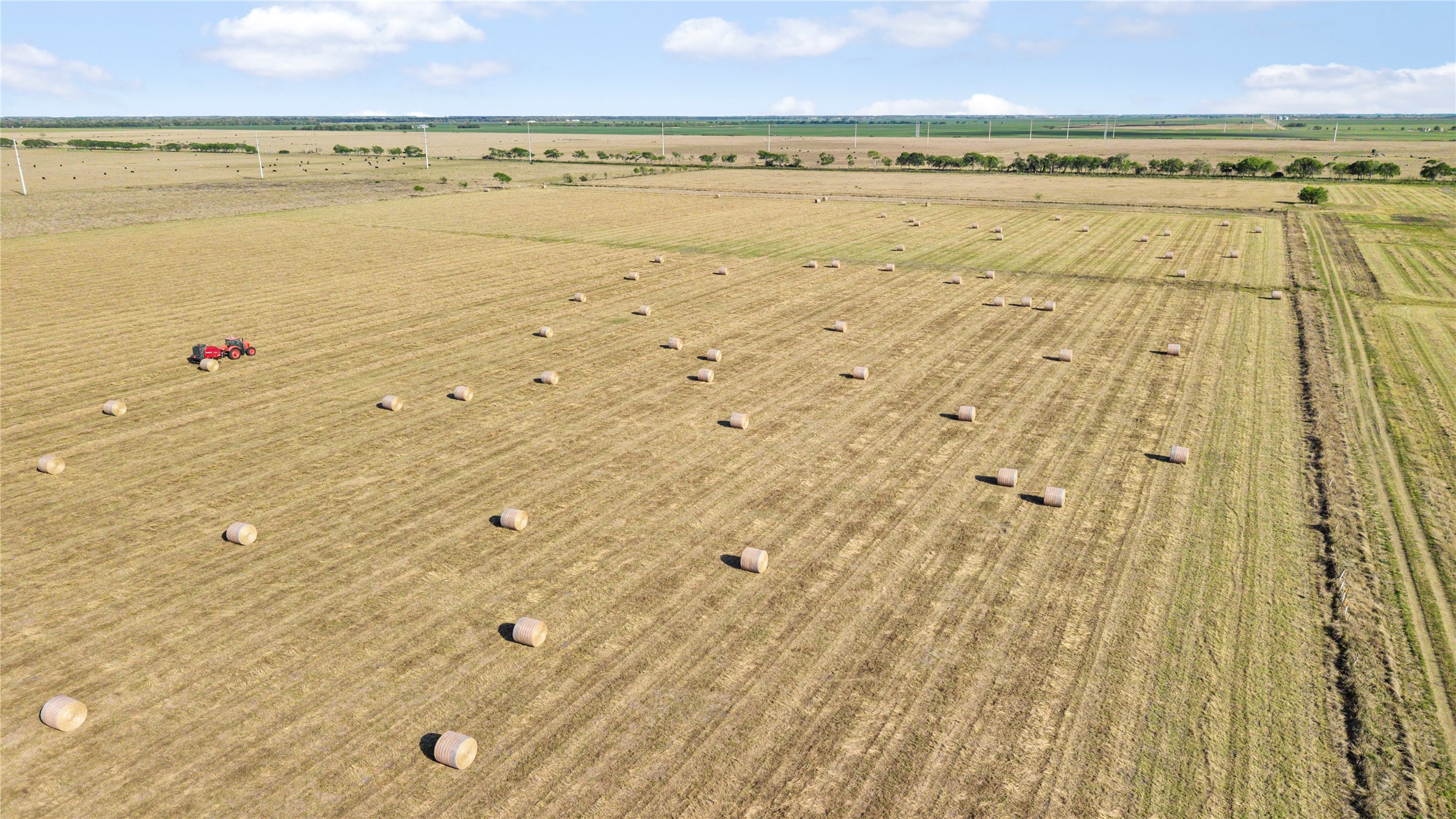 5629 Highway 59 Edna, TX 77957 - Photo 5 of 49