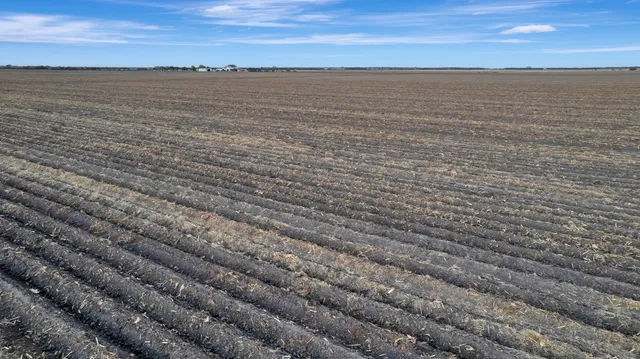 a view of an ocean beach