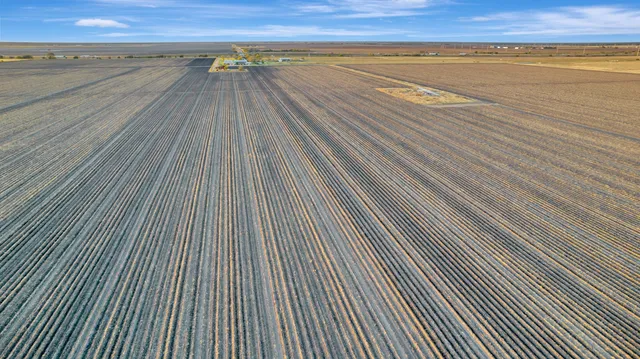 a view of an ocean beach