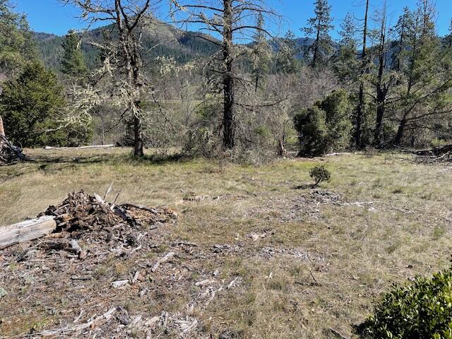 Kinney Cr Road, Unit 400 Jacksonville, OR 97530 - Photo 15 of 15