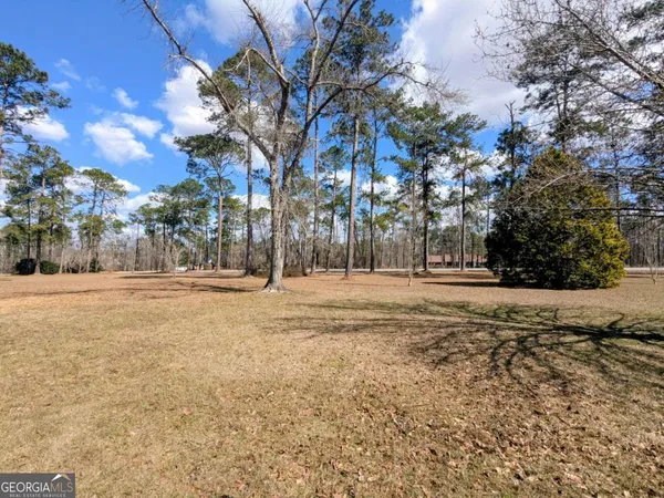 a view of a house with a large tree in the yard
