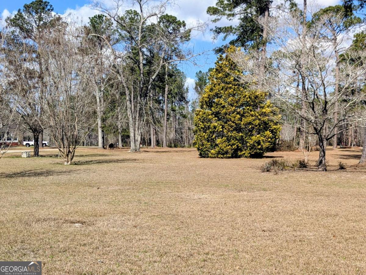 2005 Adams Street Vidalia, GA 30474 - Photo 49 of 50 a view of park space