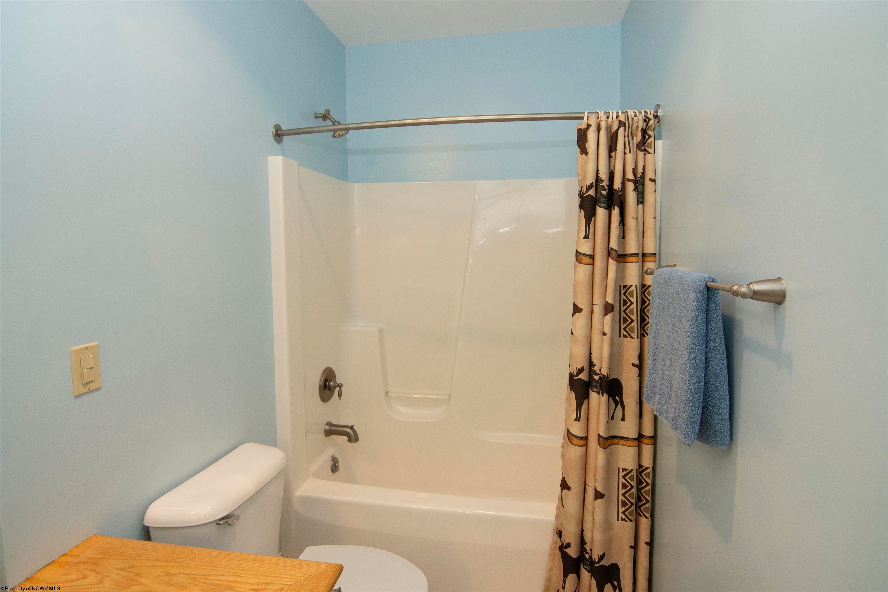 1759 Mountainside Road Davis, WV 26260 - Photo 26 of 47 Gallery Image 26