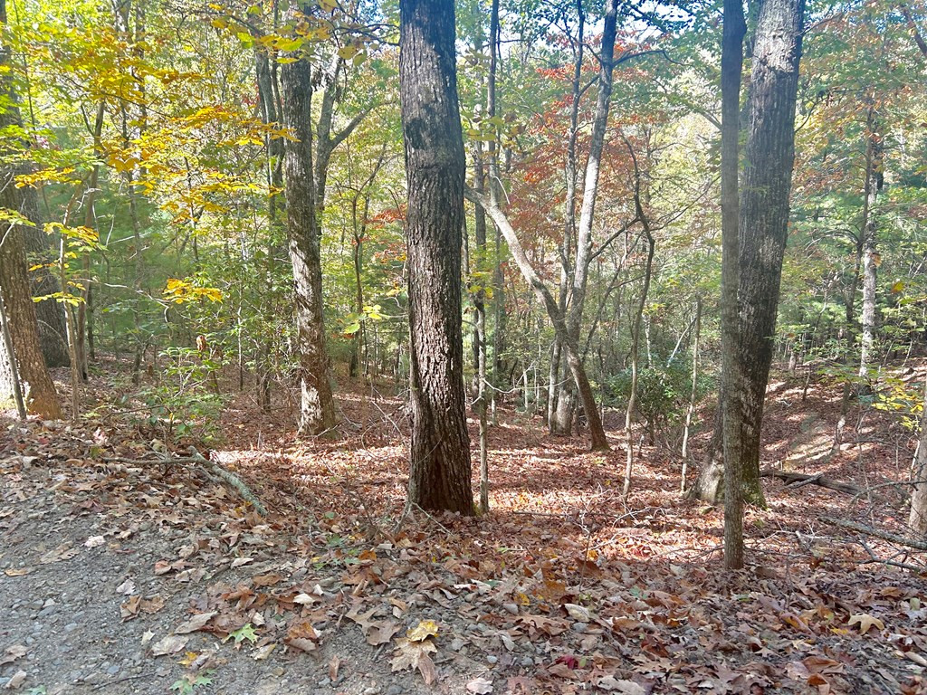 Lot 4 Ridgeline Hayesville, NC 28904 - Photo 2 of 4