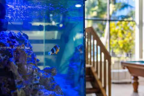 6140 Southwest 56th Court Davie, FL 33314 - Photo 11 of 69 Living underwater without getting wet – this massive aquarium brings the ocean indoors while you shoot pool outside!!
