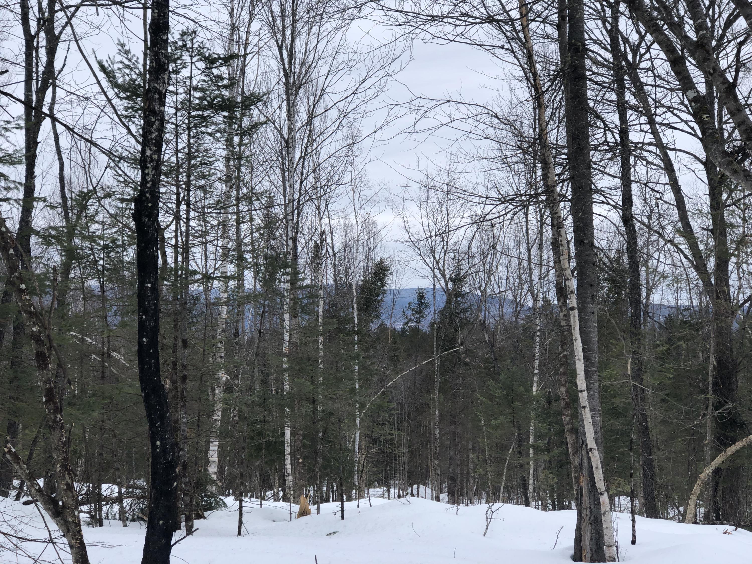 Tbd South Arm Road Andover, ME 04216 - Photo 2 of 2 McPherson Lot