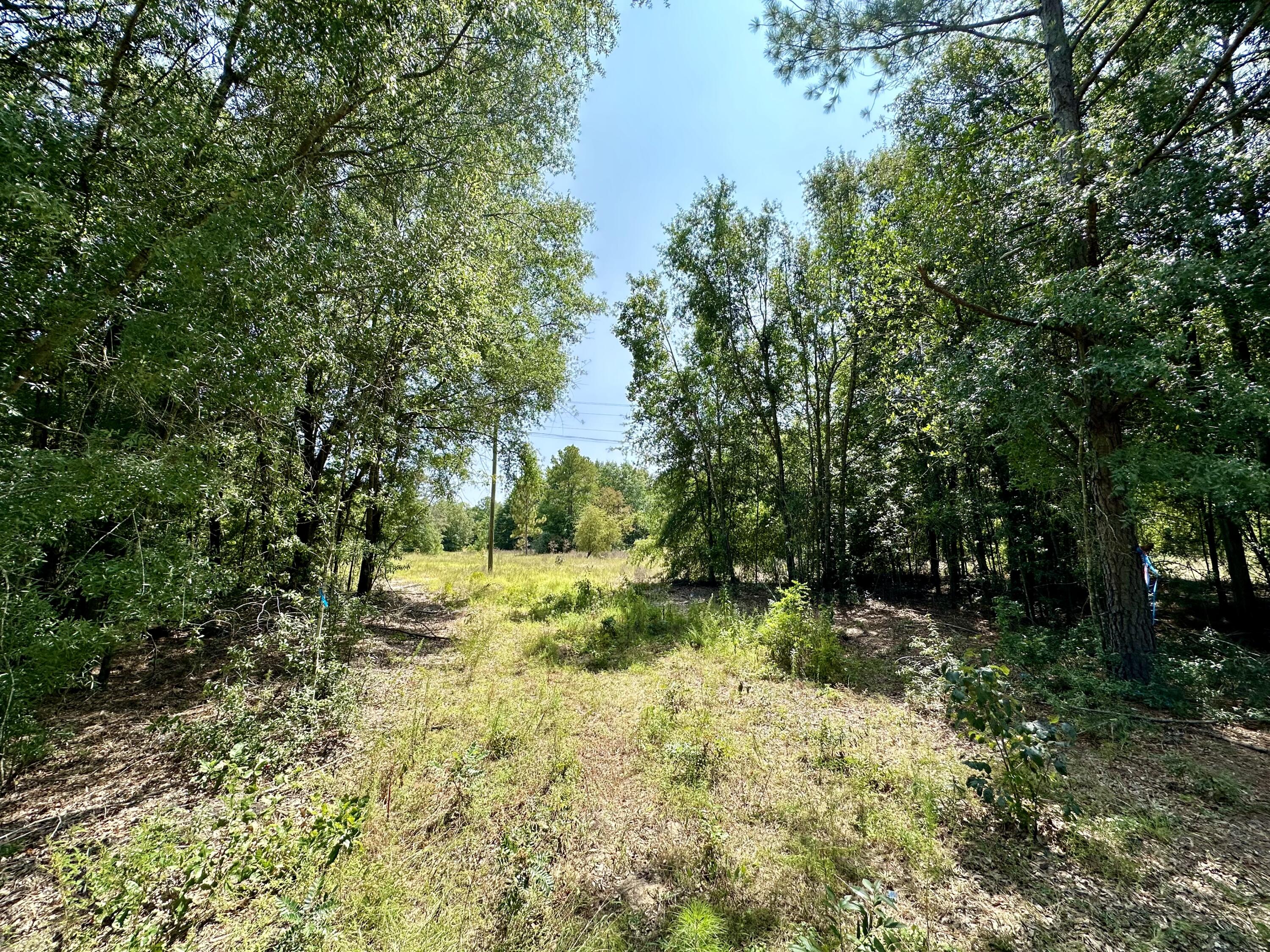 Lot 1 State Park Road Windsor, SC 29856 - Photo 2 of 5
