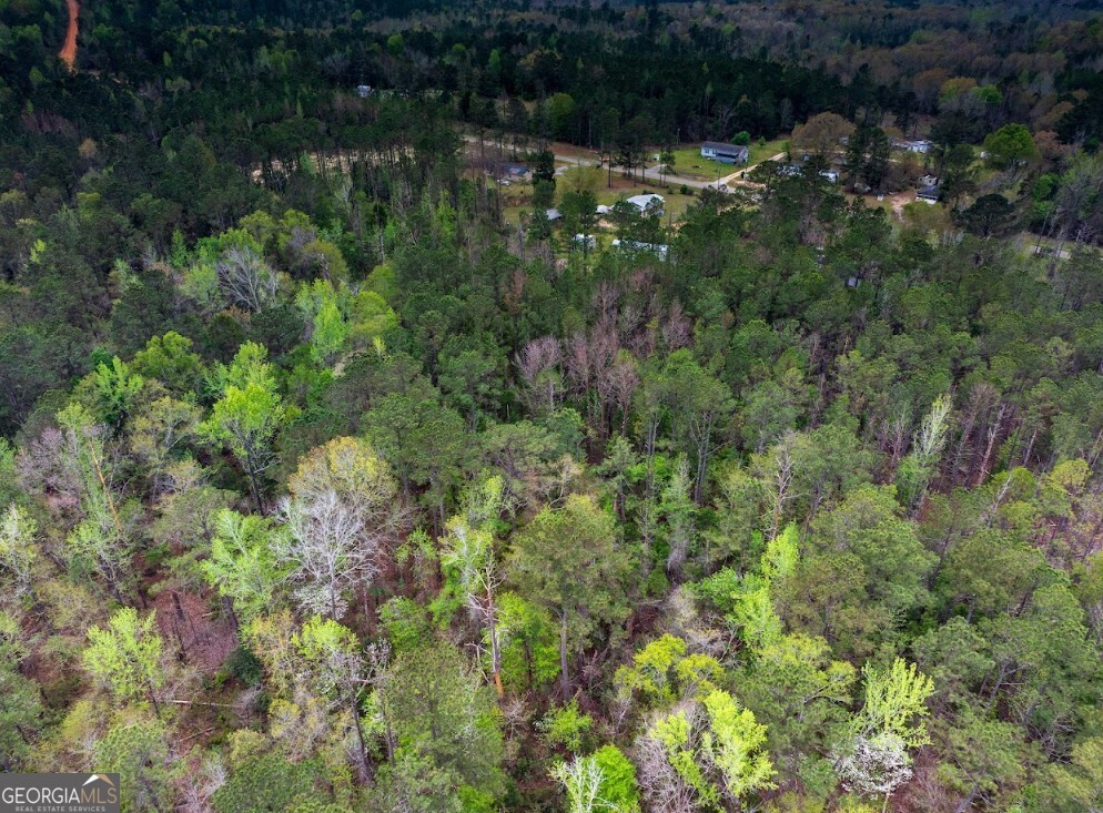 0 Morris Station, Unit TRACT A Morris, GA 39867 - Photo 11 of 20