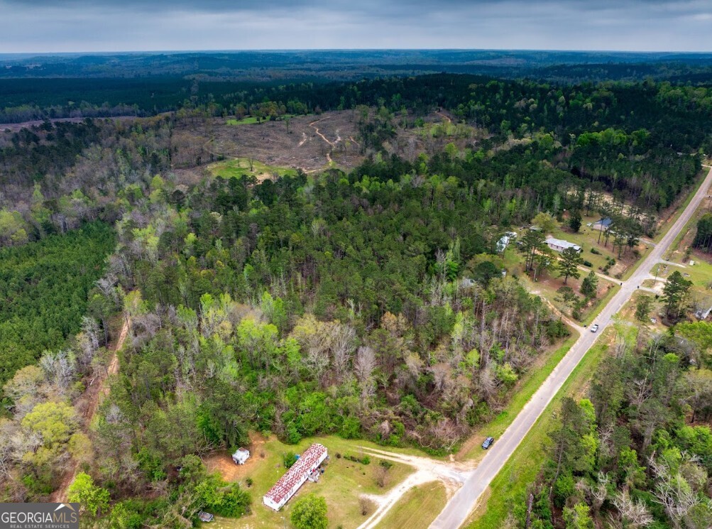 0 Morris Station, Unit TRACT A Morris, GA 39867 - Photo 15 of 20