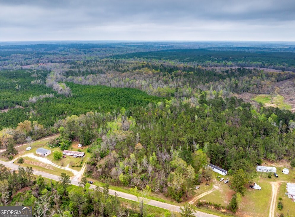 0 Morris Station, Unit TRACT A Morris, GA 39867 - Photo 19 of 20