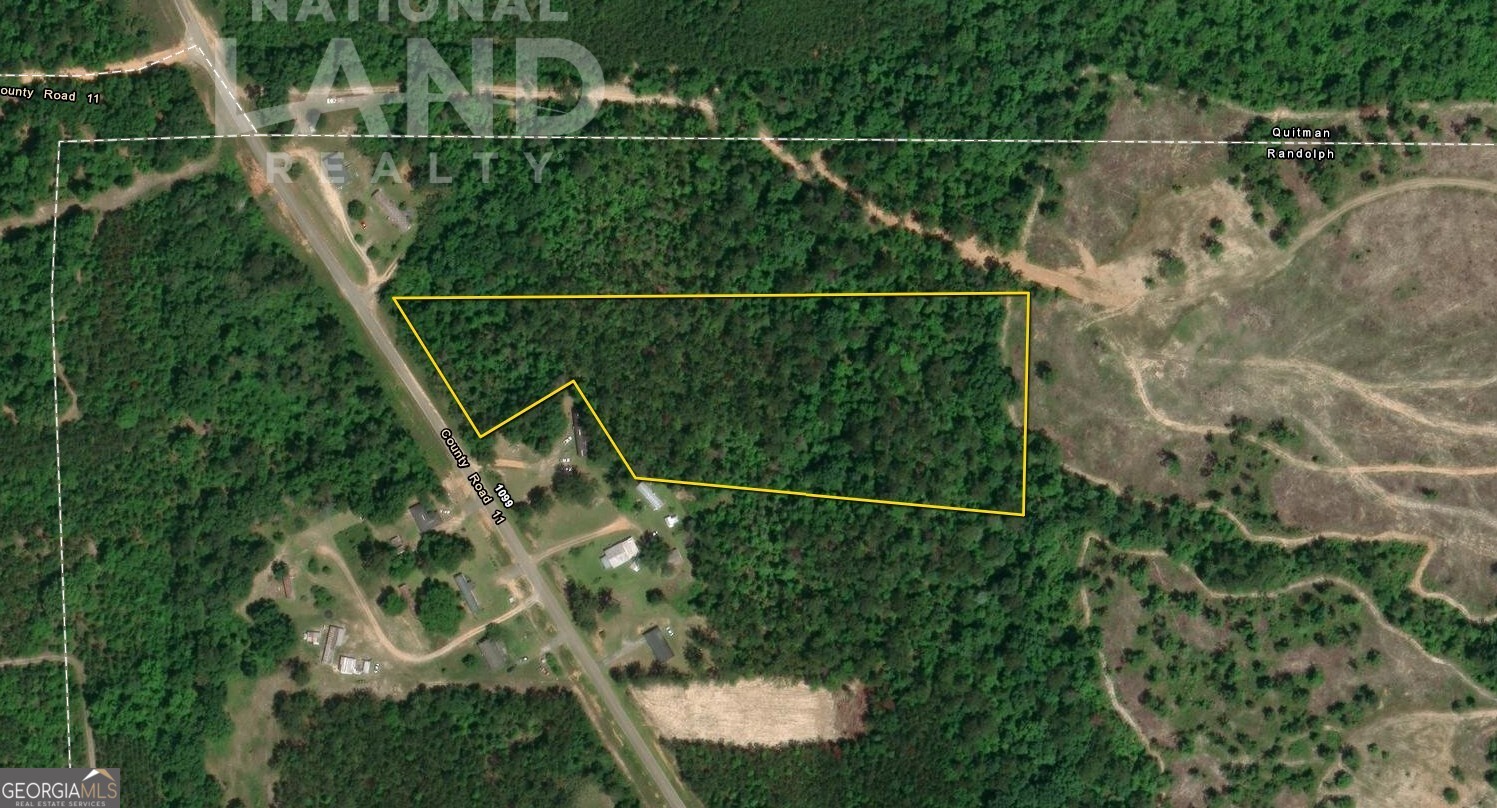 0 Morris Station, Unit TRACT A Morris, GA 39867 - Photo 20 of 20