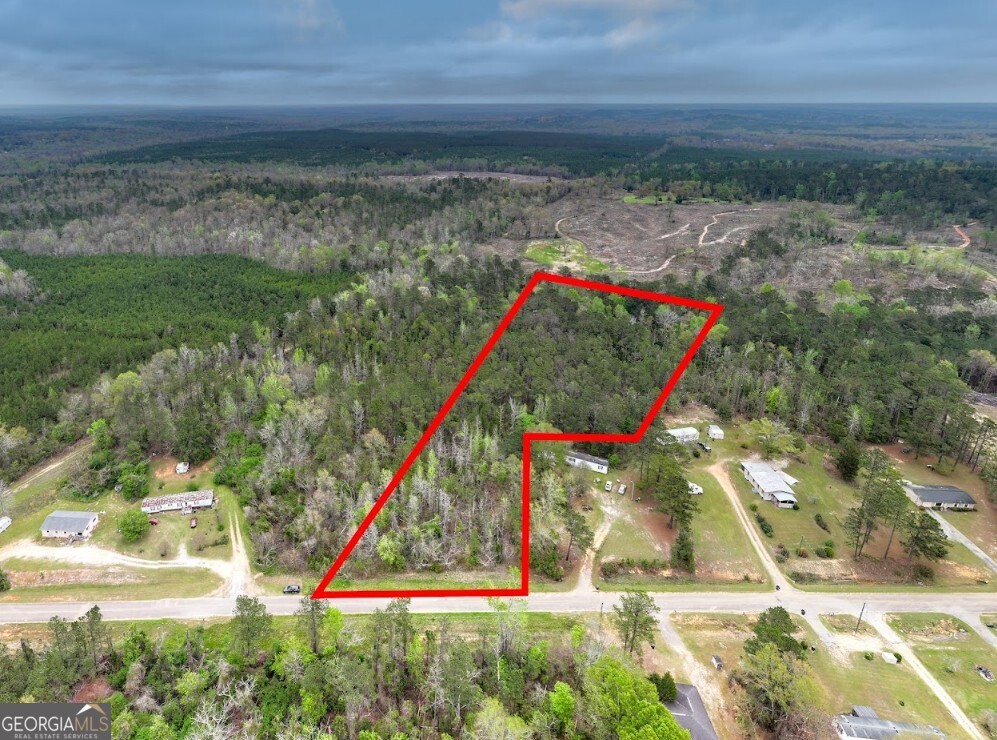 0 Morris Station, Unit TRACT A Morris, GA 39867 - Photo 2 of 20