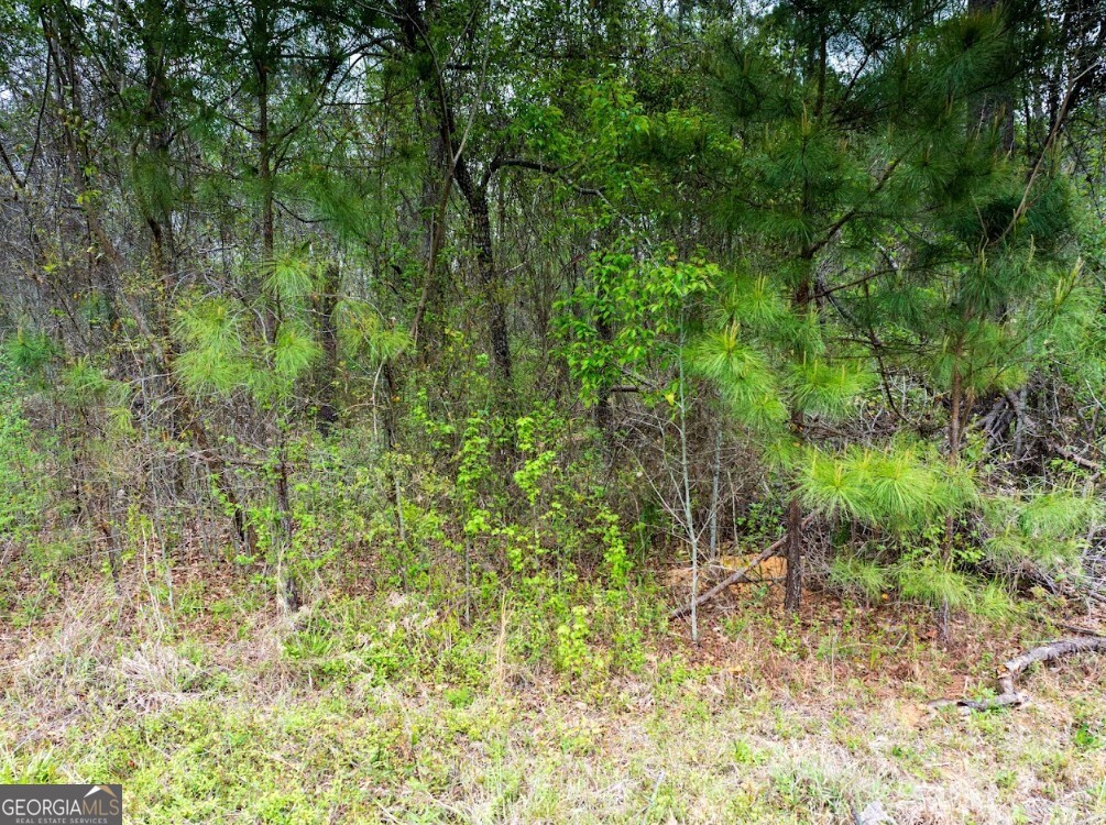 0 Morris Station, Unit TRACT A Morris, GA 39867 - Photo 3 of 20