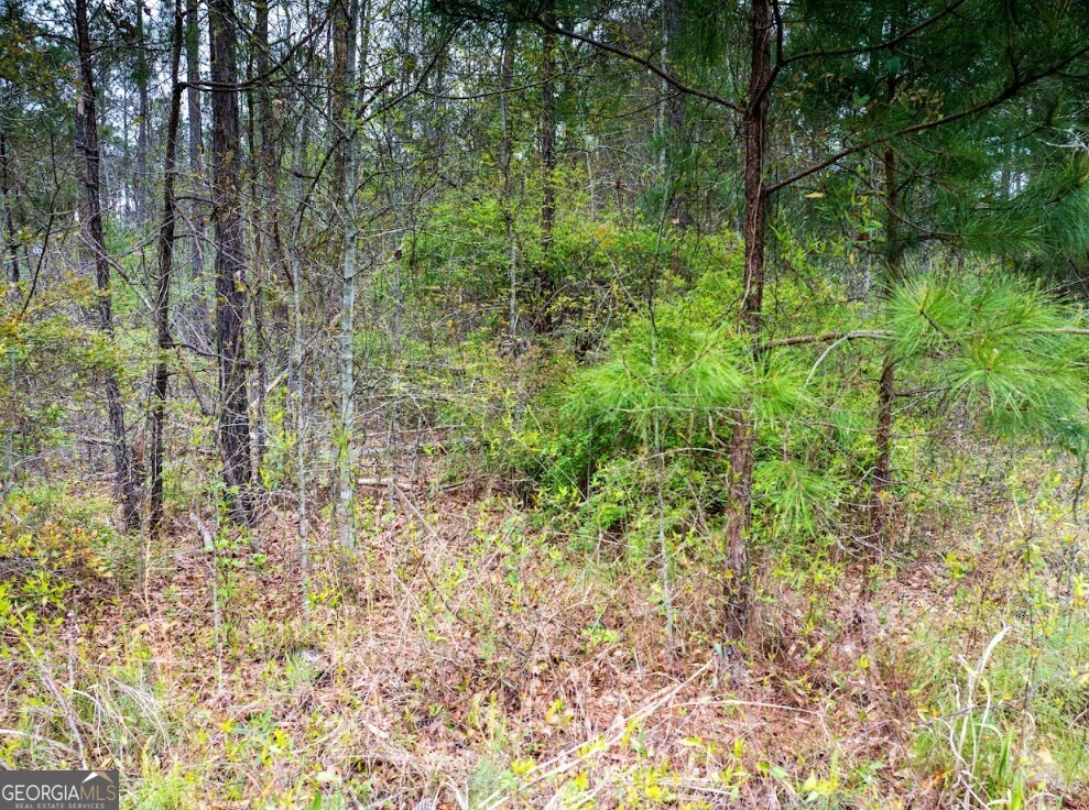 0 Morris Station, Unit TRACT A Morris, GA 39867 - Photo 4 of 20