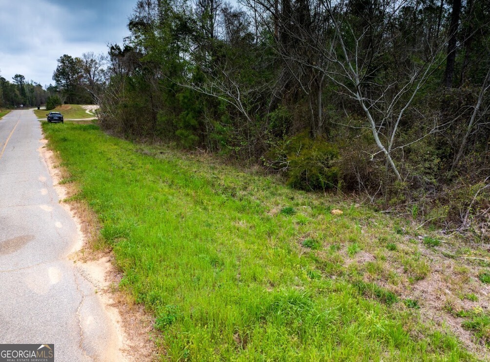 0 Morris Station, Unit TRACT A Morris, GA 39867 - Photo 5 of 20