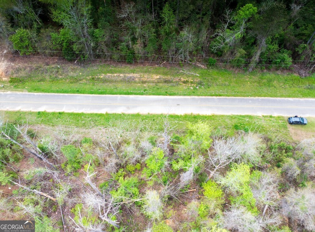 0 Morris Station, Unit TRACT A Morris, GA 39867 - Photo 6 of 20