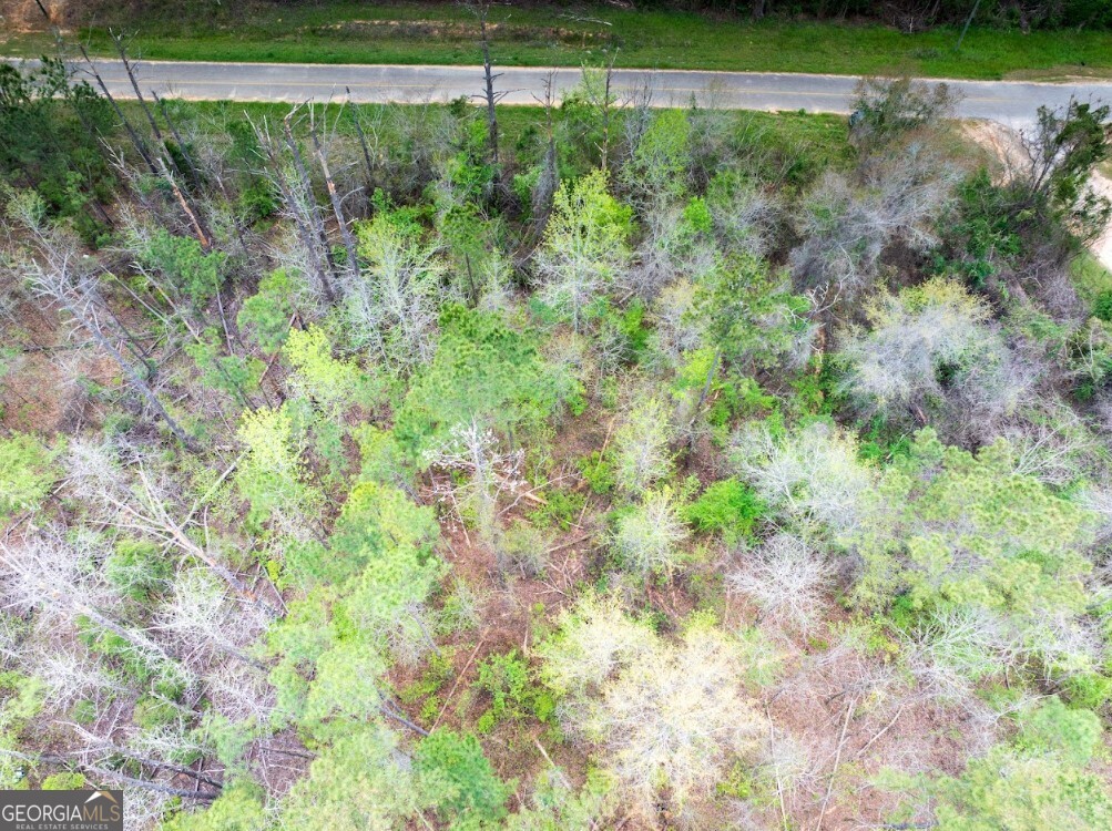 0 Morris Station, Unit TRACT A Morris, GA 39867 - Photo 7 of 20