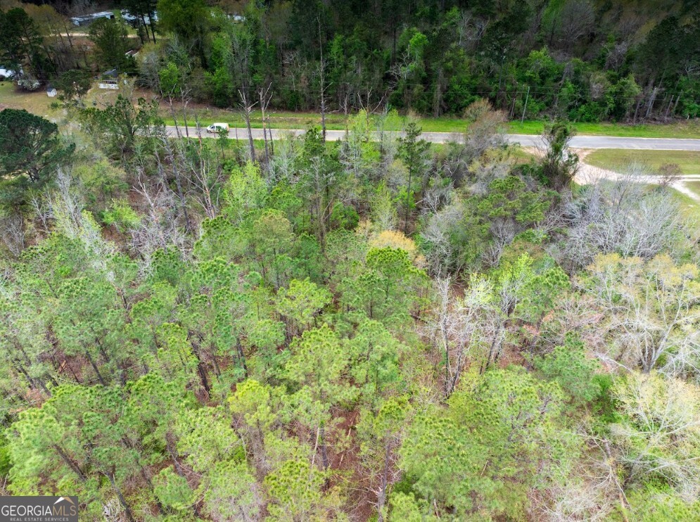 0 Morris Station, Unit TRACT A Morris, GA 39867 - Photo 8 of 20