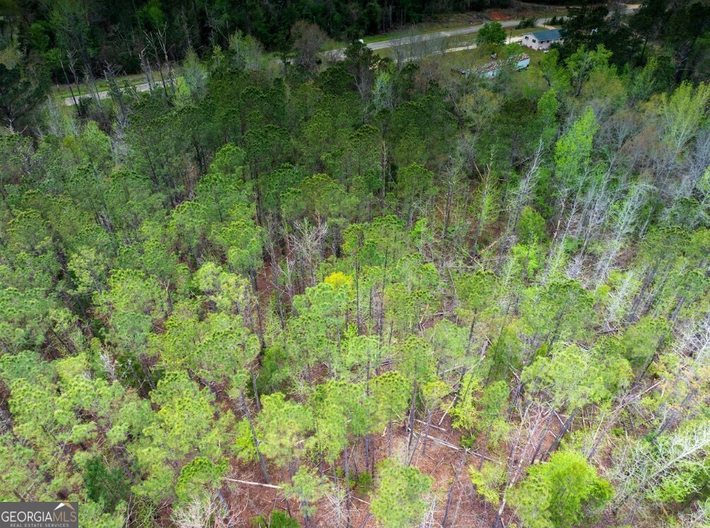 0 Morris Station, Unit TRACT A Morris, GA 39867 - Photo 10 of 20
