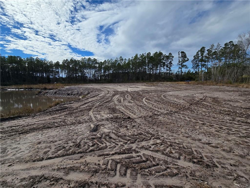 4825 Duck Road Waycross, GA 31503 - Photo 7 of 16 Gallery Image 7