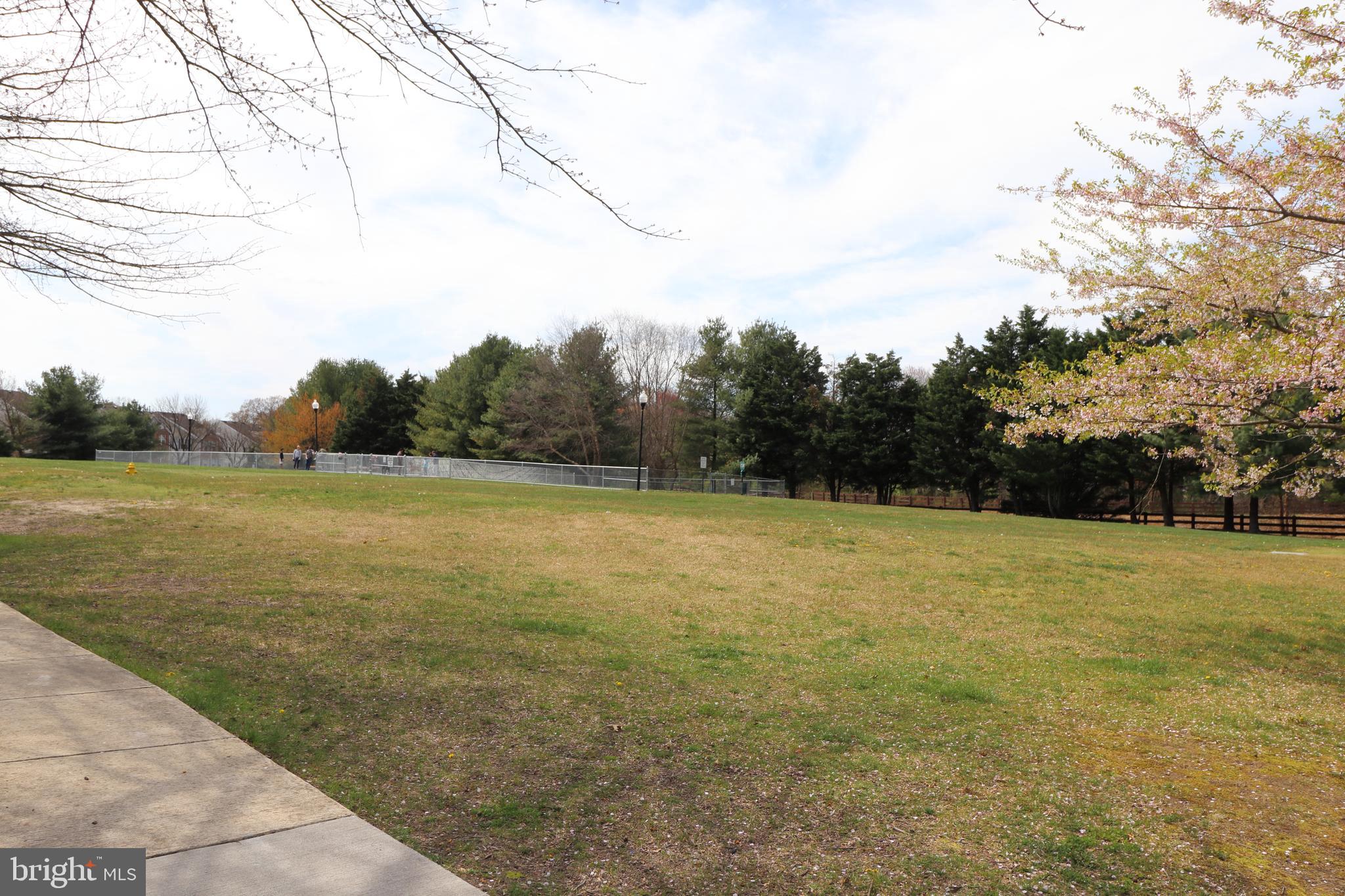 Dog Park and Open Area