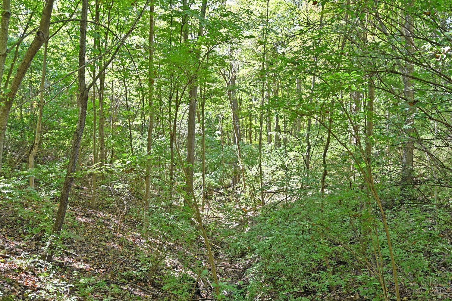 3301 Mt Carmel Road Cincinnati, OH 45244 - Photo 30 of 30