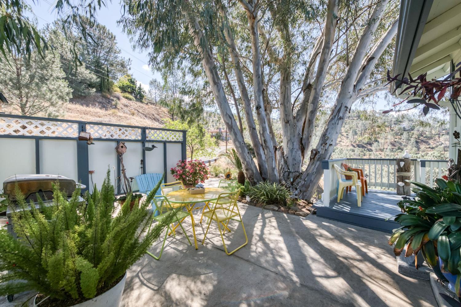 28037 Sky Harbour Road Friant, CA 93626 - Photo 24 of 40 a view of a yard with plants and large trees