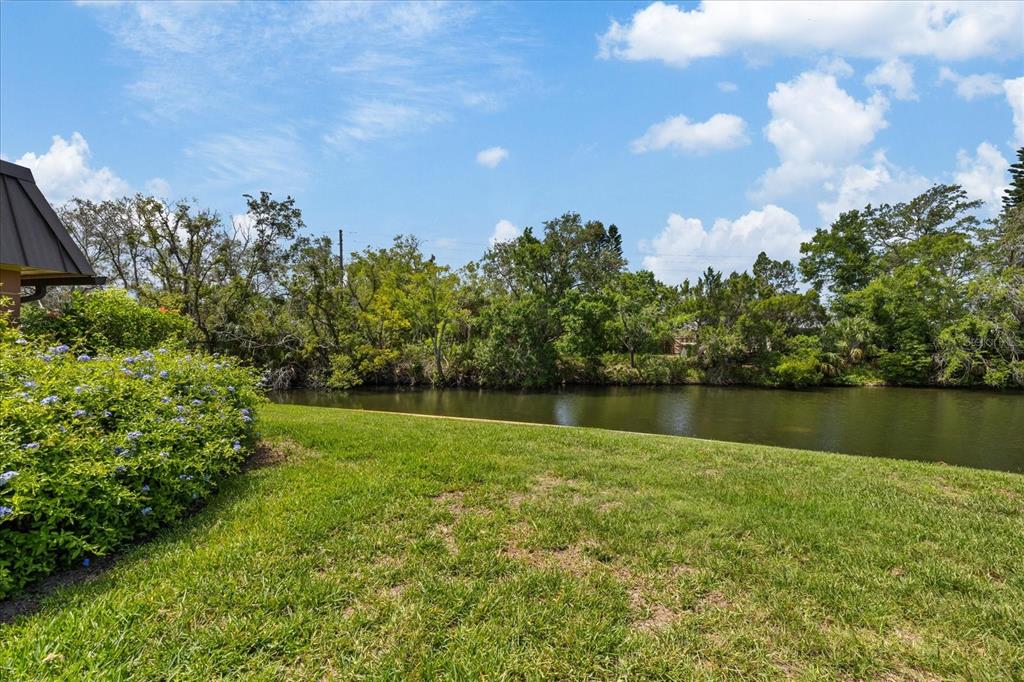 4347 Summersun Drive New Port Richey, FL 34652 - Photo 39 of 43