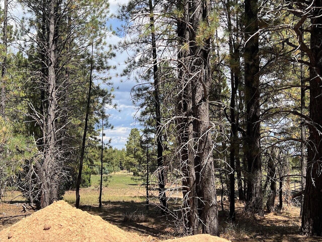 Lot # Elk Ridge Estates Alton, UT 84710 - Photo 5 of 5 View of the meadow