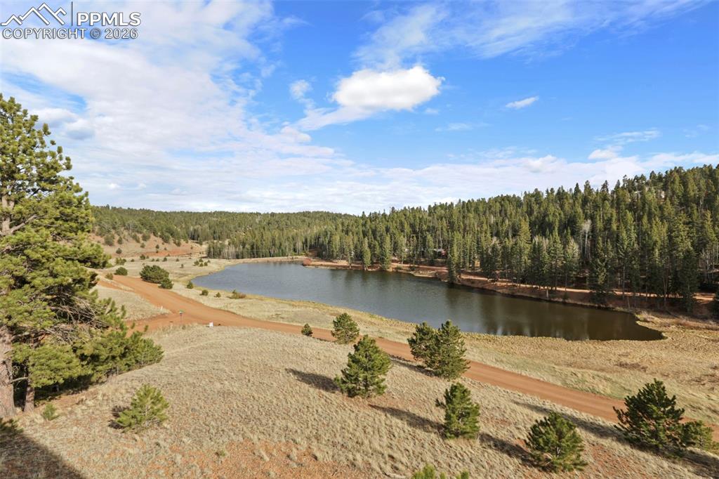 514 Hopi Circle Divide, CO 80814 - Photo 50 of 50