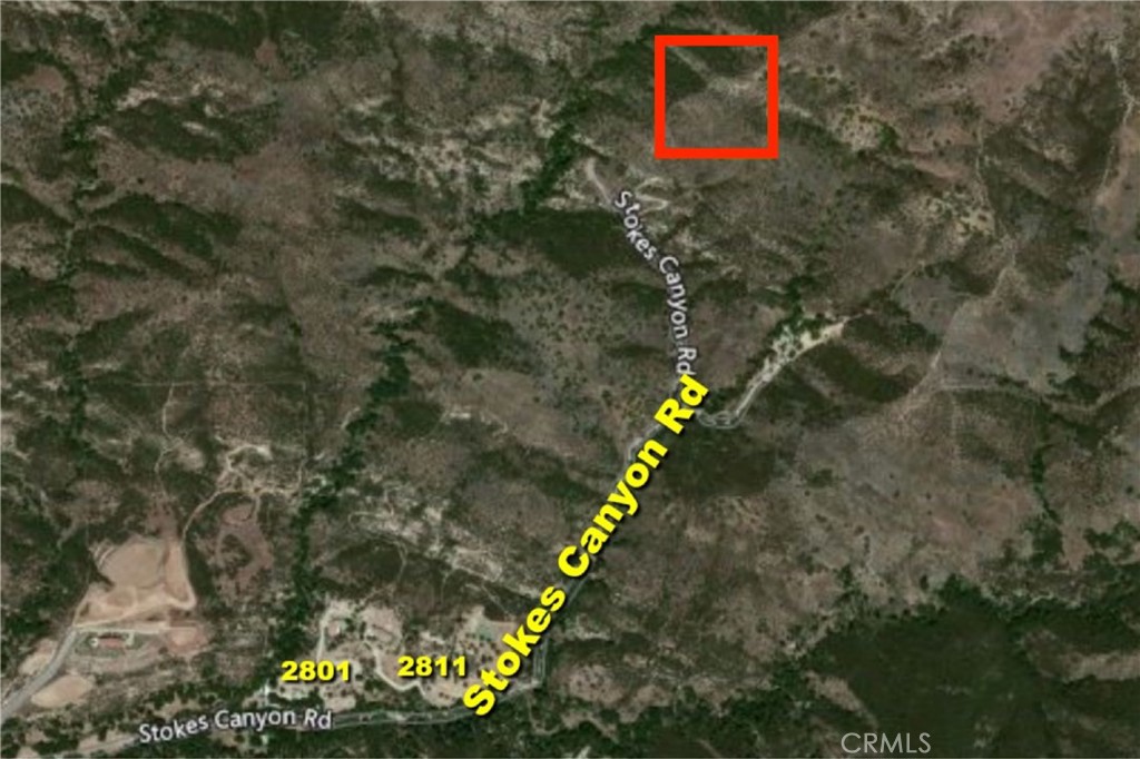 a view of a back yard