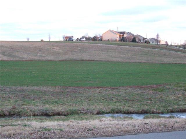 4427 Matthews Road Cedar Hill, TN 37032 - Photo 6 of 6 VIEW ACROSS CREEKI
