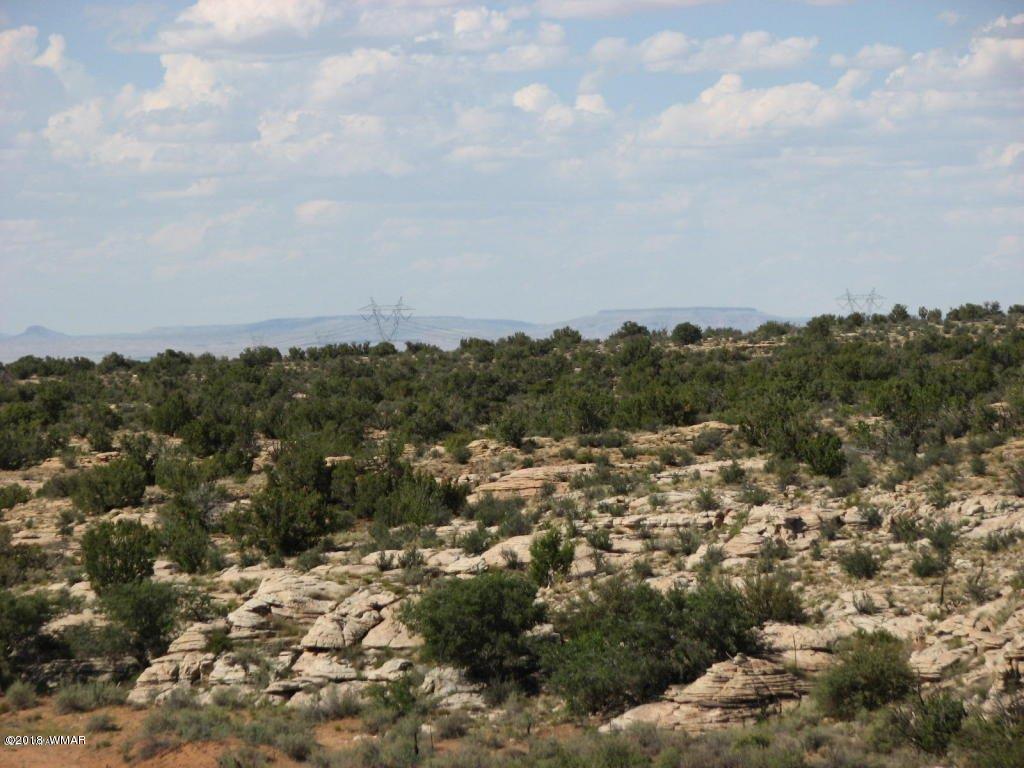 Lot 280 Chevelon Canyon Ranch Overgaard, AZ 85933 - Photo 2 of 8