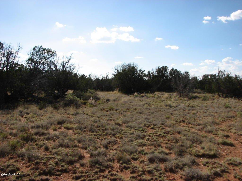 Lot 280 Chevelon Canyon Ranch Overgaard, AZ 85933 - Photo 3 of 8